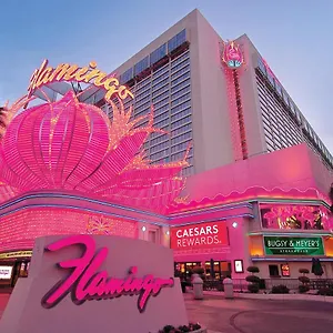 Flamingo Vegas & Casino אתר נופש